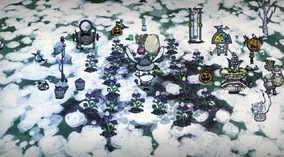 Farm Plant | Don't Starve Wiki | Fandom