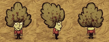 Wheeler wearing a Bush Hat.