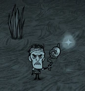 Maxwell standing next to a Polar Star at Night.