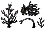 Sapling Diseased All.png (143 KB) Diseased Sapling in Don't Starve Together in all its states (removed mechanic).