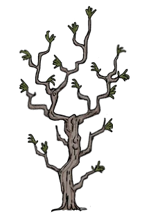 植物 Don T Starve 中文維基 Fandom