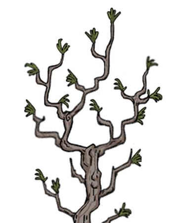 樹 多枝樹 Don T Starve 中文維基 Fandom