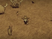 Wilson standing on Savanna Turf.