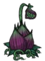 Lureplant