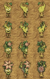 Wormwood wearing a Rain Coat.