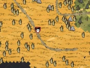 Savanna Turf as seen on the map.