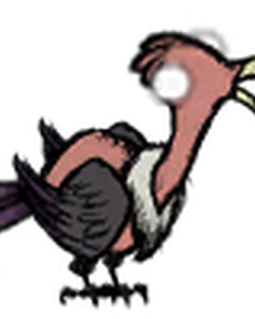 禿鷹 Don T Starve 中文維基 Fandom 禿鷹 Don T Starve 中文維基 Fandom