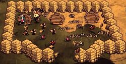Bee farm.jpg
