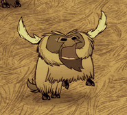 Grito do Beefalo estando no cio.