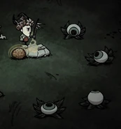 Eyeplants.png (150キロバイト) アイプラントは射程外の獲物を目で追う