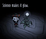 Light Flower examined.png (96 KB) 威爾森檢查螢光花