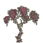 Unused Big Blooming Rainforest Tree texture