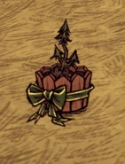 WinterFeastTreeSapling.png (220 KB) A freshly planted Winter's Feast Tree.