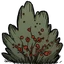 Berry Bush