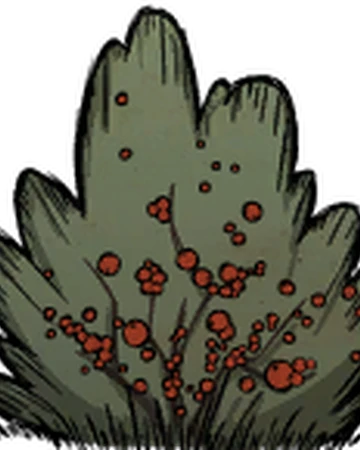 漿果叢 Don T Starve 中文維基 Fandom