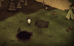 don t starve wiki fandom