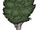 Birkennussbaum