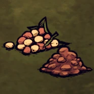 Saftige Beeren und Gebratene Saftige Beeren im Spiel.