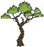 Dschungelbaum