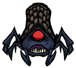 Höhlenspinne