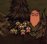 Abigail gegen Spinnen.png (83 KB) Abigail kämpft gegen Spinnen.