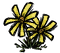 Blume.png