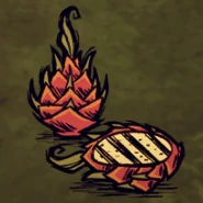 Drachenfrucht-Hauptbild.png (53 KB) Eine Drachenfrucht und eine Zubereitete Drachenfrucht im Spiel