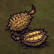Durian-Hauptbild