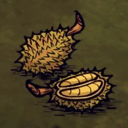 Eine Durian und eine Extra Stinkende Durian im Spiel.