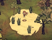 Das Ring-Ding in Shipwrecked.