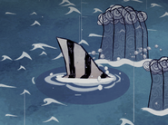 Cá Mập Hổ ở dưới nước suốt Mùa Bão.