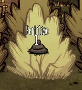 Lỗi bụi dâu chết.