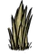Grass Tuft