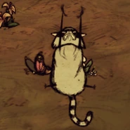 Catcoon Playing.png (63 kB) Chơi với Bướm.