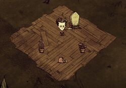 Guides よくある質問 Don T Starve 攻略 Wiki Fandom Guides よくある質問 Don T Starve 攻略 Wiki Fandom