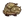 bébé Boeufalo