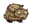 Bébé boeufalo