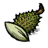 Durian Seeds