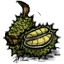 Durians