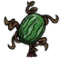 Watermelon Plant