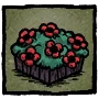 Camellia Flowerbed иконка профиля.png (8 КБ) Клумба с камелиями (Camellia Flowerbed) Loyal Поставь на иконку профиля клумбу с камелиями. Получение Получение Выдавалась за просмотр трансляций Don't Starve Together на Twitch 30 минут с привязанной учётной записью Klei (с 21.08.2023 по 07.09.2023). Также можно получить в обмен на 100 очков наград Klei (с 02.05.2024).