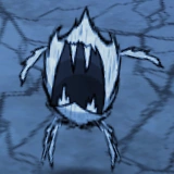 Araignées albinos en plein cri