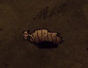 Dontstarve steam 2013-07-09 15-06-03-508