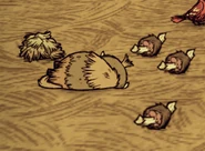 A dead Baby Beefalo.