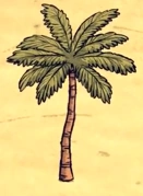 Palmier en jeu sur une plage