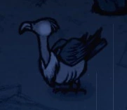 Пол.png (33 КБ) Канюк ночью