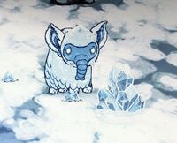 Коалослон-1.jpg