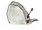 Baleine blanche