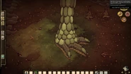 Giant's Foot.jpg (124 kB) Chân To.