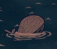 Baleine bleue morte 1.jpg (4 kio) Une carcasse de baleine bleue